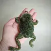 Лягушка кошелек из бисера