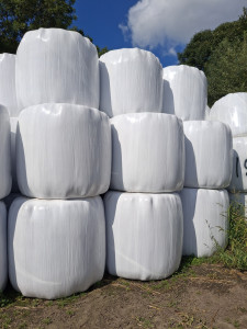 Sprzedam sianokiszonkę I pokos, siano bele 130cm, zbiór 2026