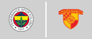 Fenerbahçe S.K. - Göztepe S.K.