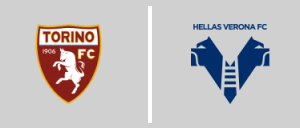 Torino F.C. - Hellas Verona