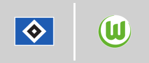 Hamburger SV - VfL Wolfsburg