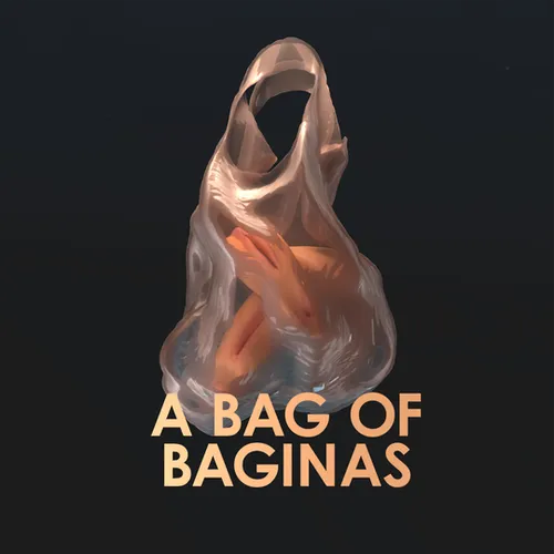 Thumbnail image for A Bag Of Baginas: Animatable Vaginas