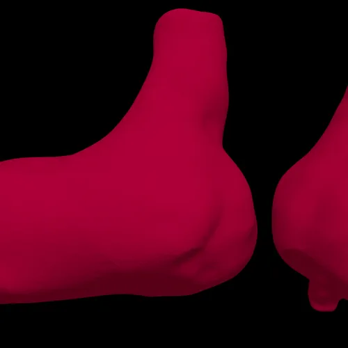 SFMLab • Mlp Stomach Model