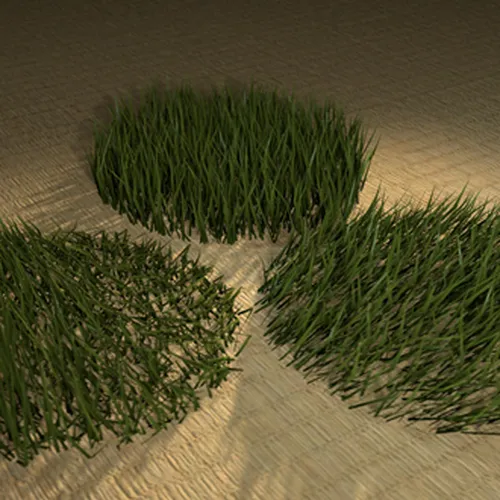 Thumbnail image for Barbell Grass V1