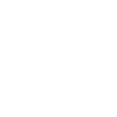Pokemon SV - Default Animation Group Script
