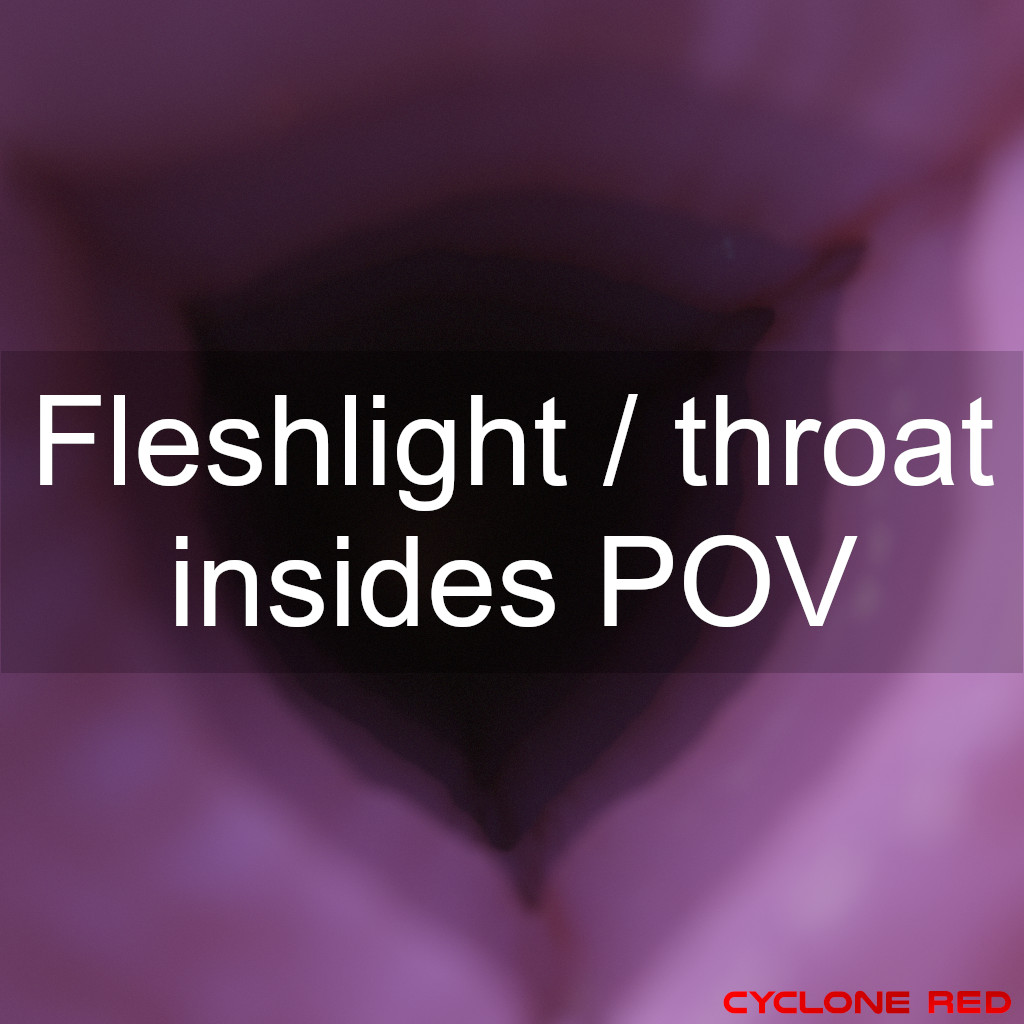 SmutBase • Fleshlight / throat insides - RIGGED