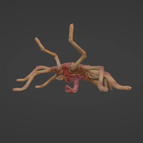 Thumbnail image for An Ovomorph, Facehugger and intact Chestburster