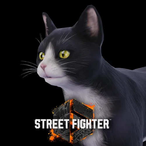 SmutBase • Cammy - Street Fighter 5