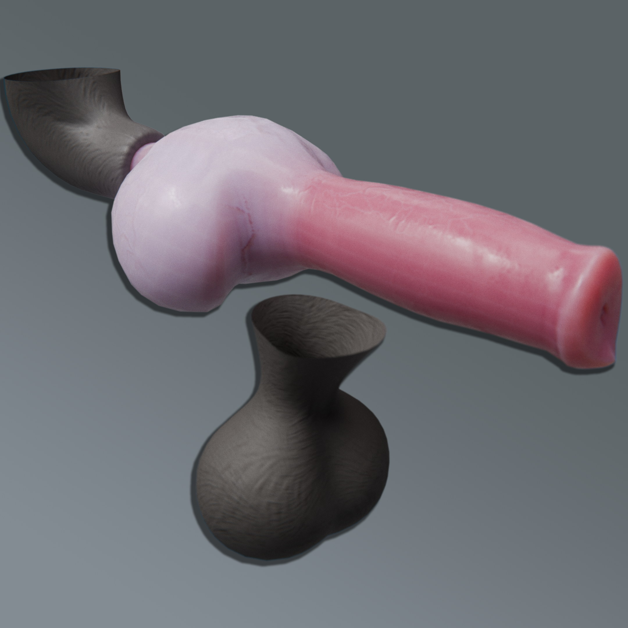 Dogpenis cum 