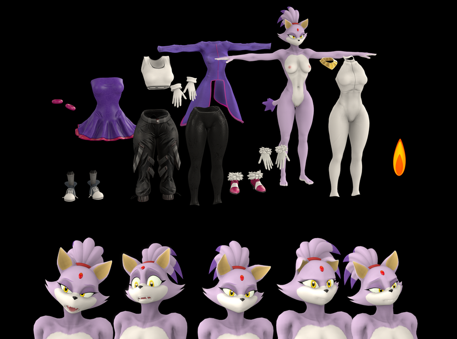 Blaze The Cat 2020
