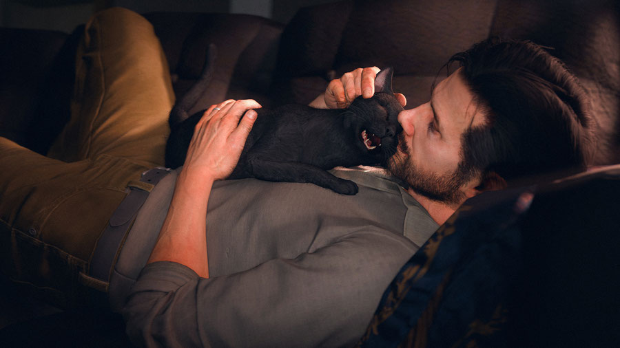 The Evil Within - Save Cat and Sofa