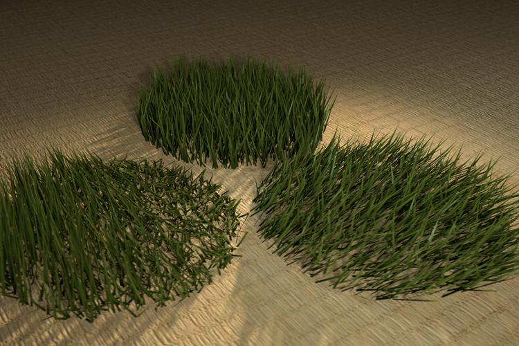 Barbell Grass V1