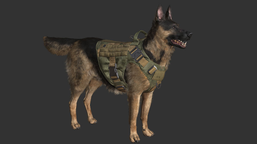 Execution Dog Riley (MW)