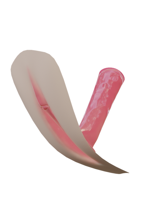 Simple vagina model [Eevee / Cycles]