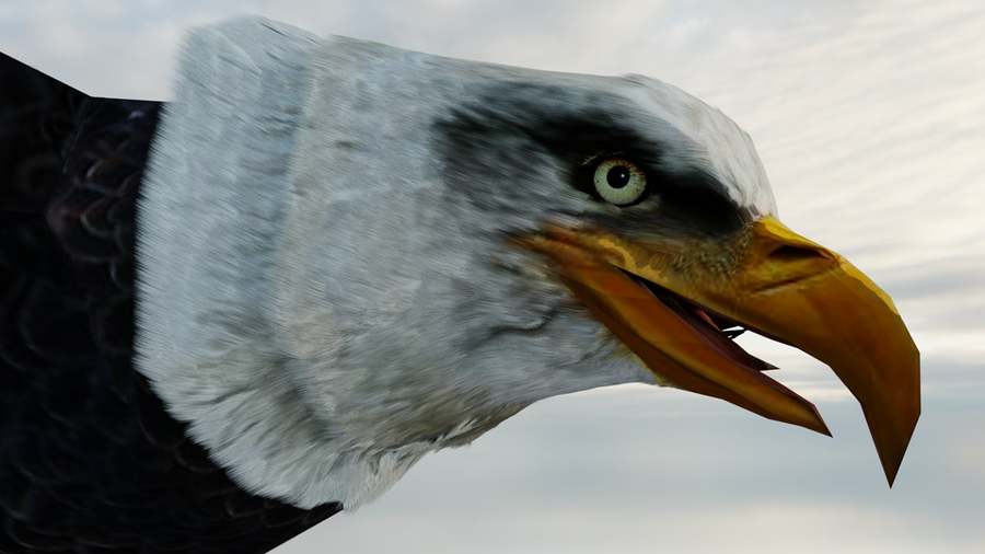 Falcon the Eagle