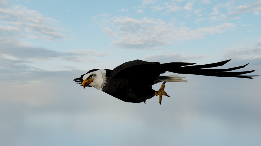 Falcon the Eagle