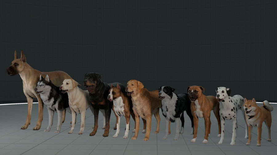 SFMLab • Fallout 4 Dog Pack