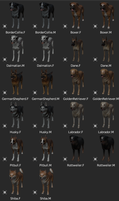 Upgraded Dog models