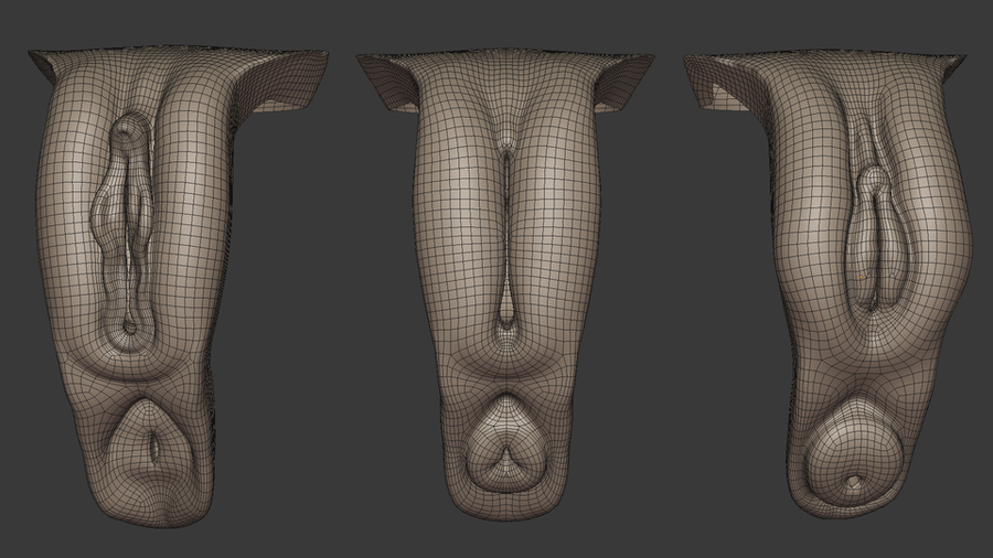 Vags Retopo