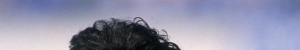 lorenzinhonapotw 