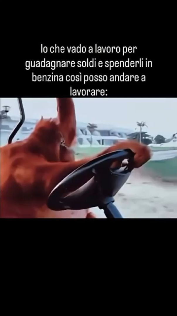 ANDANDO A LAVORO