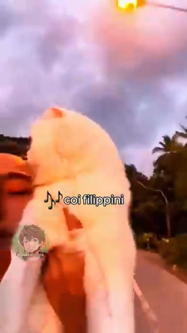 Making my way downtown