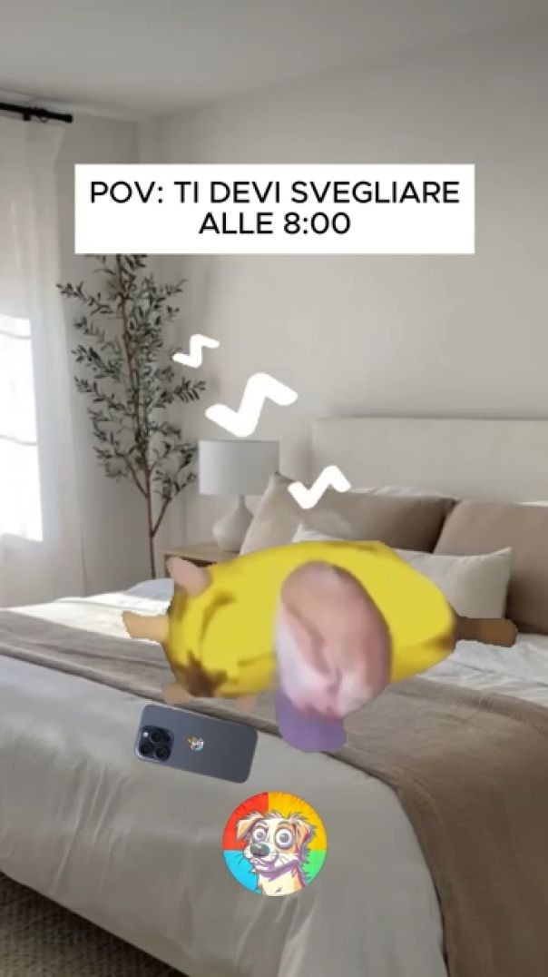 QUANDO TI DEVI ALZARE PRESTO