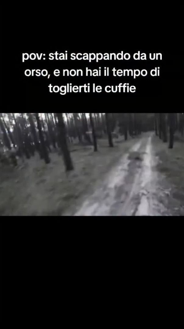 QUANDO STAI SCAPPANDO DA UN ORSO