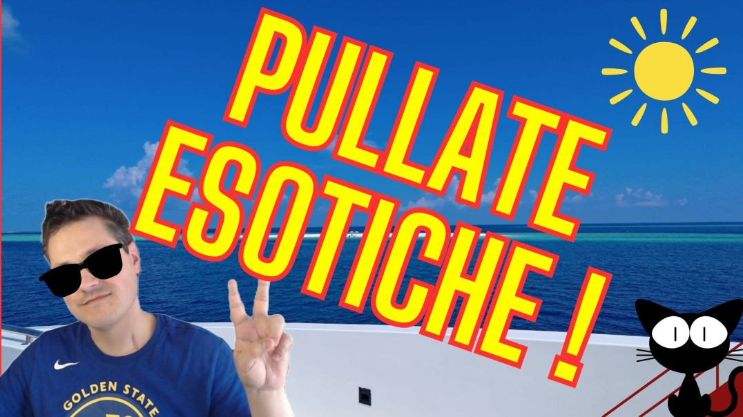 Pullate ESOTICHE ! ( Pullamelo Tutto Ep. 11/25 )