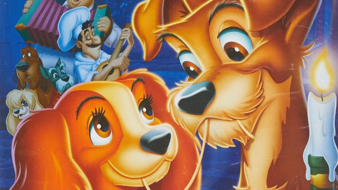 A Dama e o Vagabundo (1955) completo em português europeu