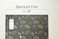 Sensation Wall ID