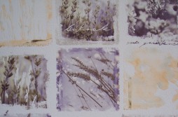 Tapeta nr. 26-208