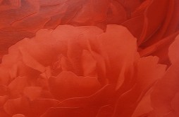 Tapeta nr. 26-162