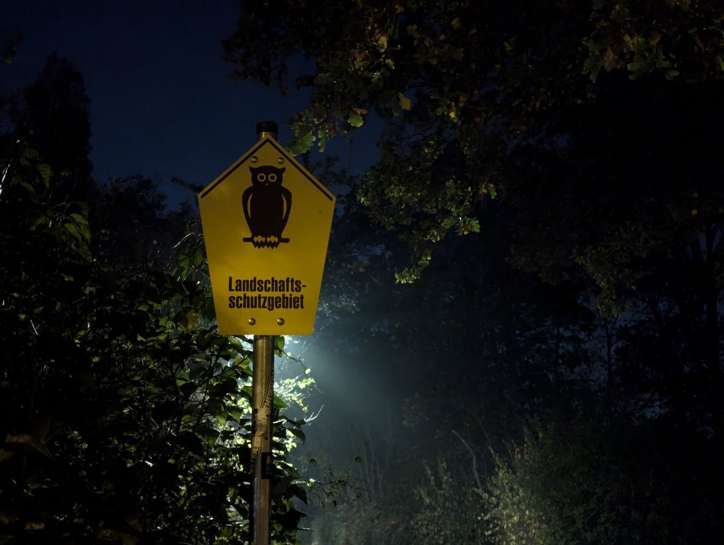 A photo of a Landschaftsschutzgebiet sign with some trees around, and a street lantern behind it.