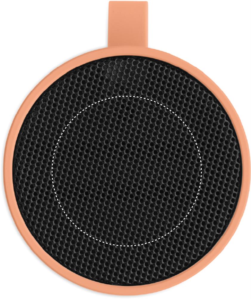 5.1 Wireless speaker top 10