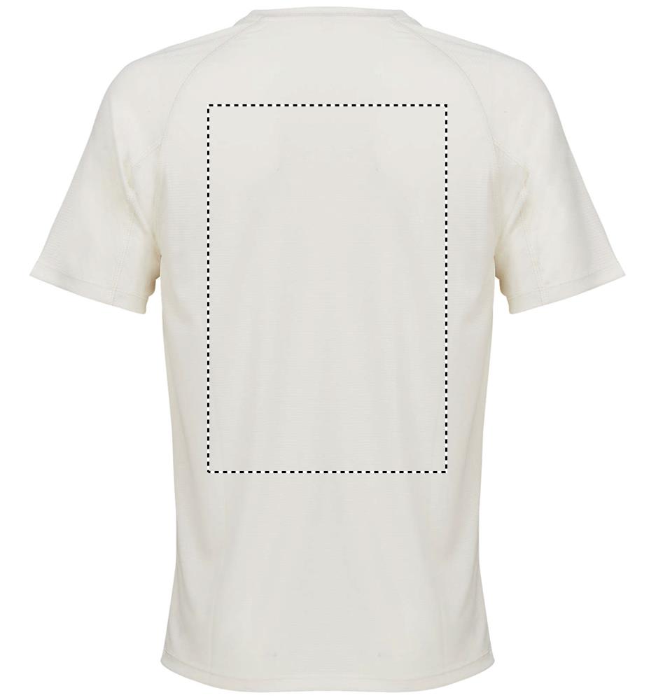 VORTEX RAGLAN T-SHIRT back ww