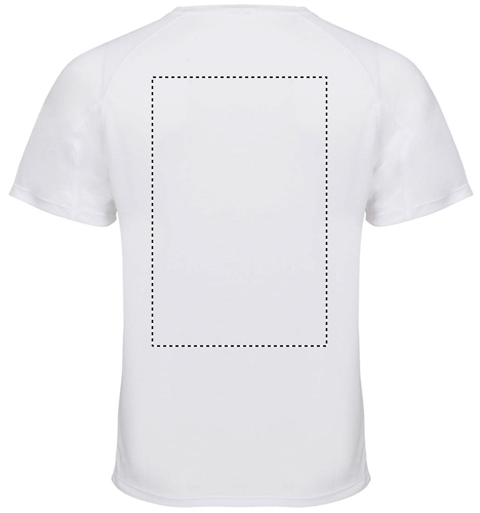 VORTEX RAGLAN T-SHIRT back wh