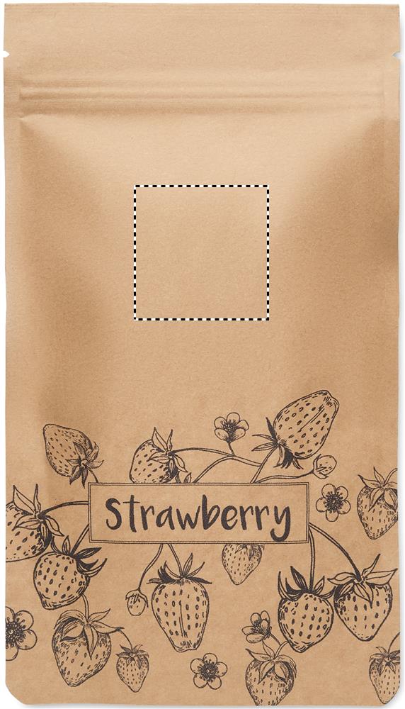 Strawberry growing kit front 13