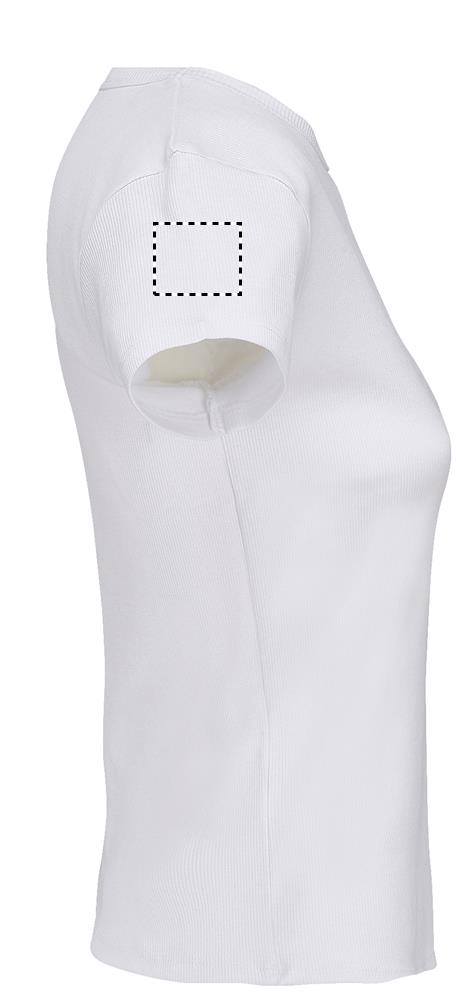 SARA WOMEN'S RIBBED T-SHIRT arm right wh
