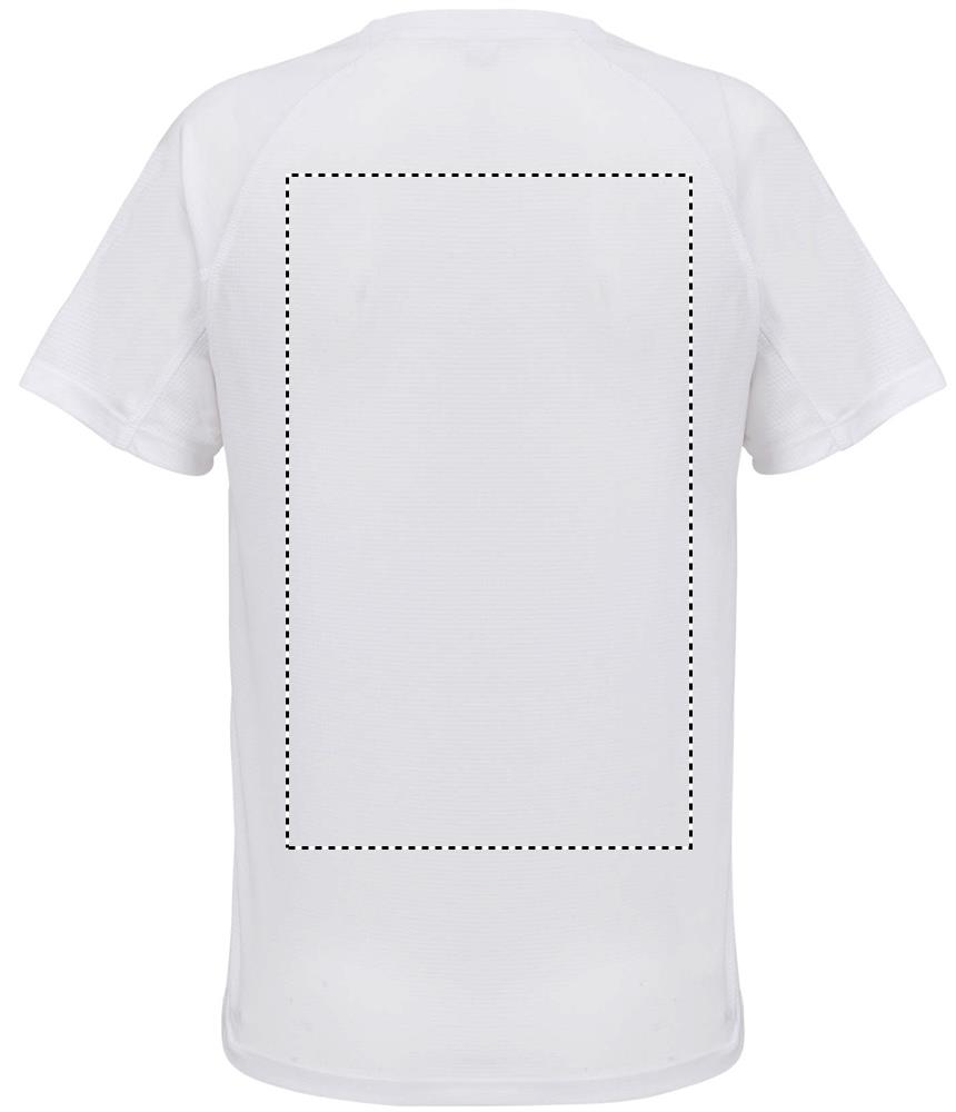 VORTEX WOMEN RAGLAN T-SHIRT back wh
