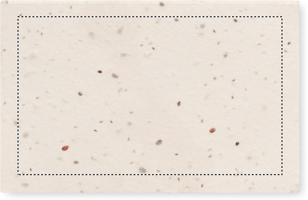 Biglietto da visita con semi di side 1 06