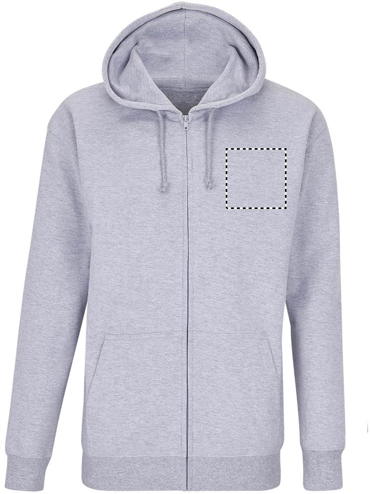 CARTER Full Zip Hoodie chest gy