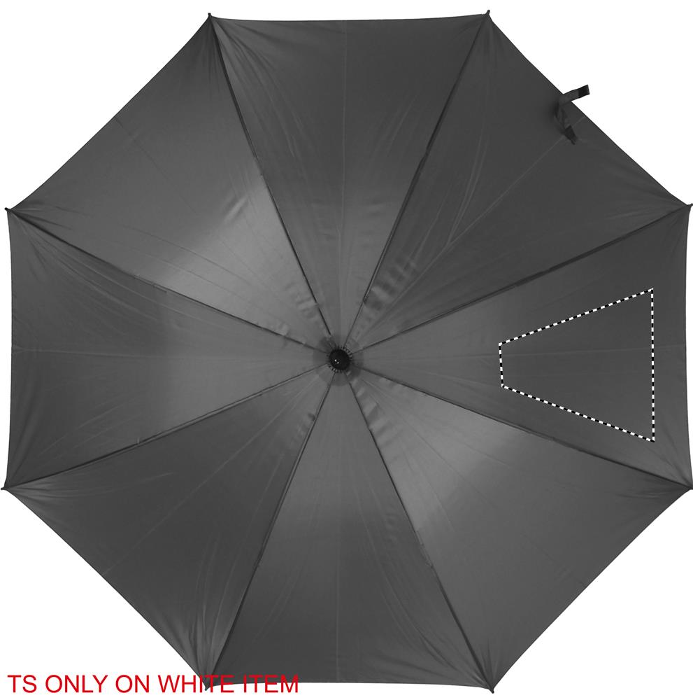 30 inch umbrella seg 4 07