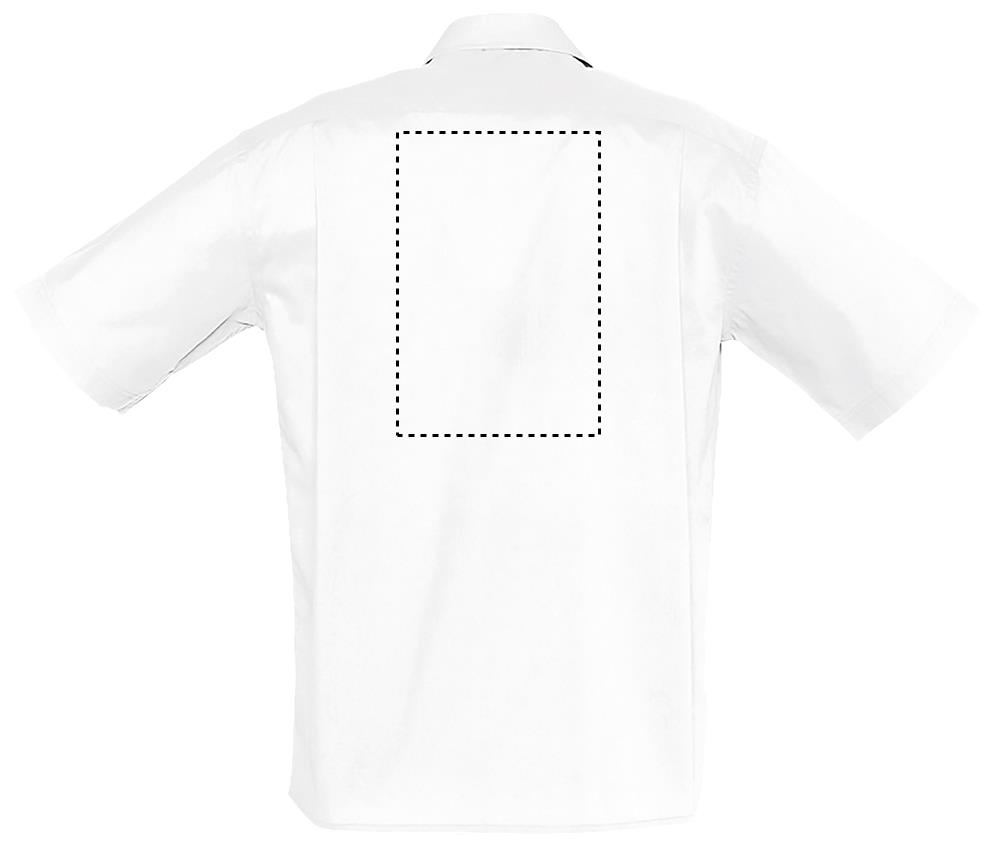 BRISTOL POPLIN MEN SHIRT back wh