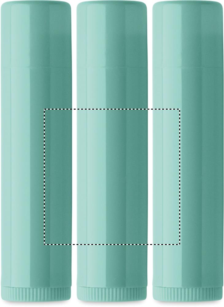 Balsamo labbra vegano SPF10 roundscreen 77