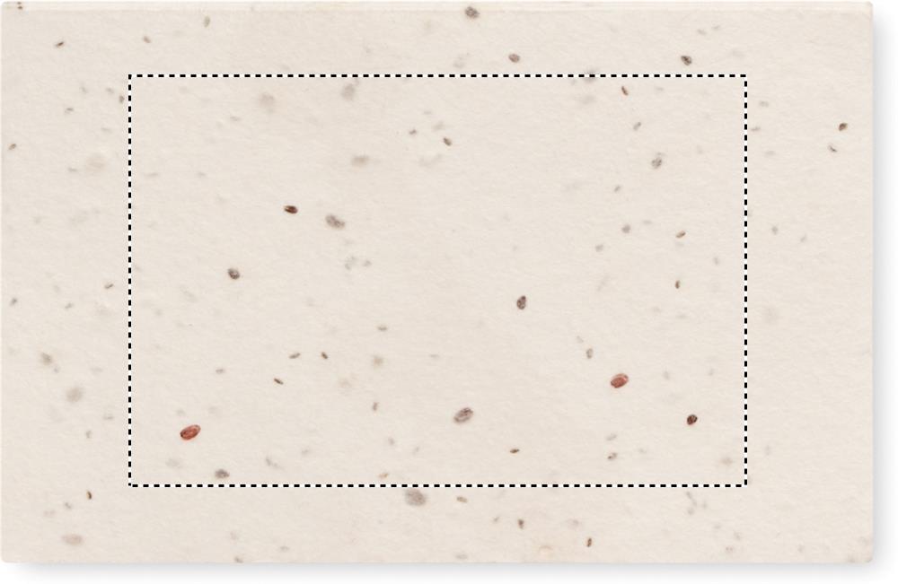 Biglietto da visita con semi di side 1 pad 06