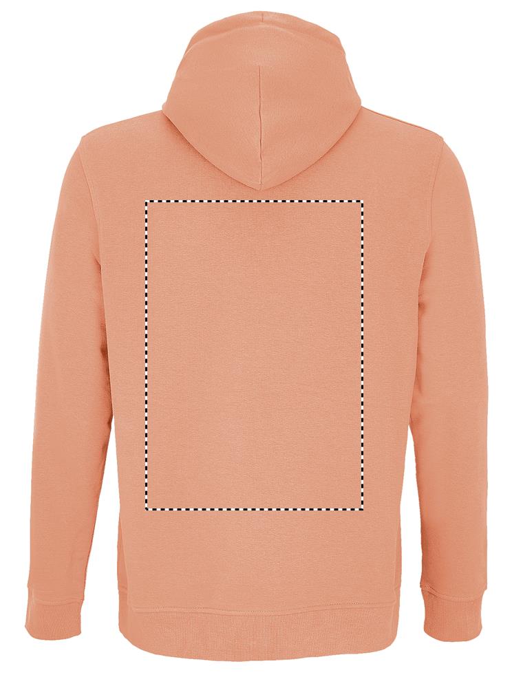 CONSTELLATION HOOD SWEAT back ph