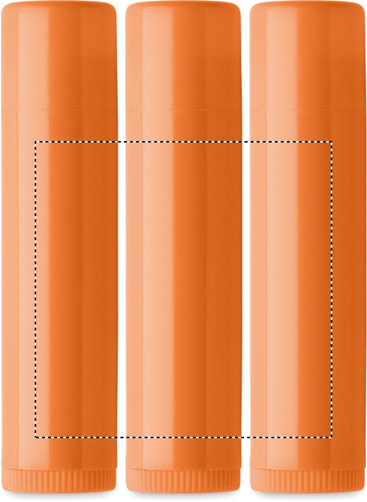 Balsamo labbra vegano SPF10 label 10