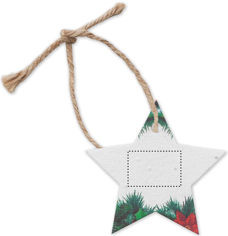 Seed paper Xmas ornament front 06