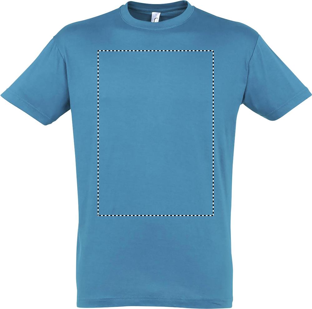 REGENT Uni T-Shirt 150g front aq